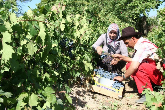 İstihdam seferberliğinde ilk 3 ayın bilançosu 