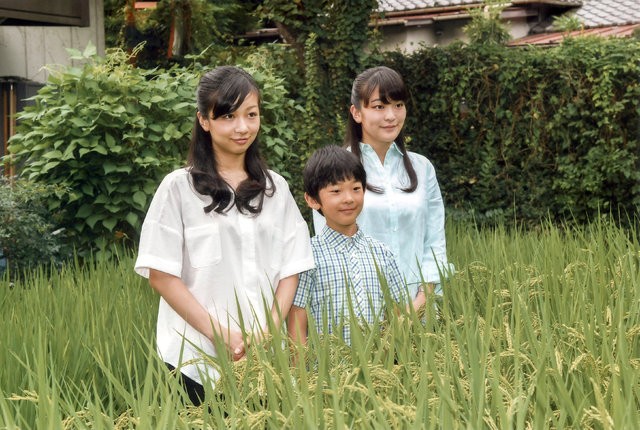 Japonya prensesi Mako ‘Aşk'ı seçti, tahtı elinin tersiyle itti