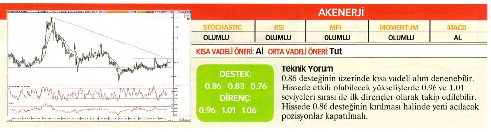 21 hisselik teknik analiz