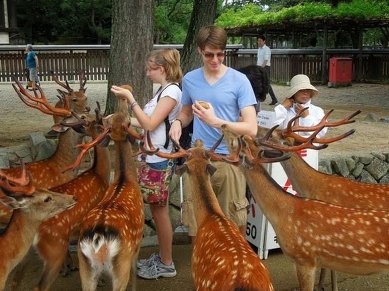 Japonya'nın en ilginç ada ve kasabaları