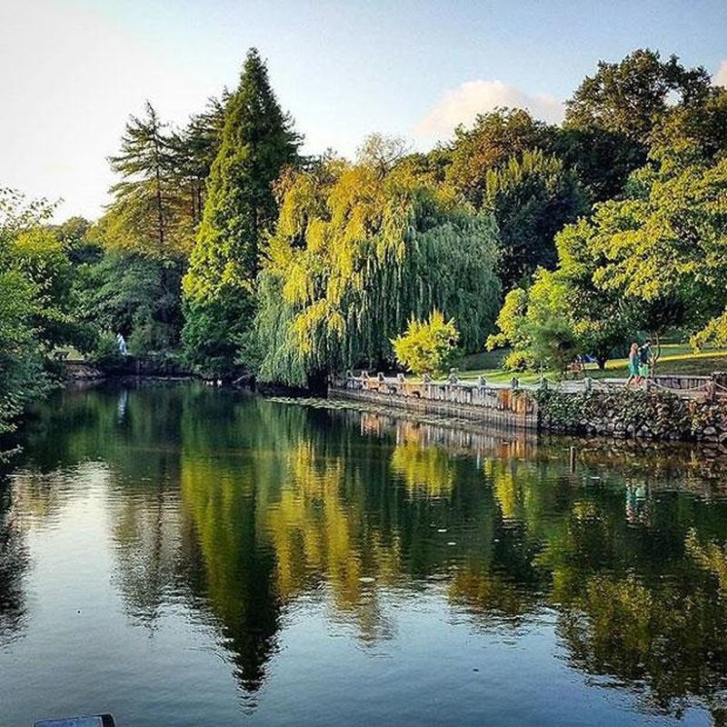 İstanbul'un en iyi ormanları