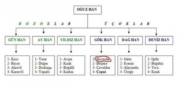 Türklerin soy ağacı çıkarıldı! Hangi soydan geliyorsunuz?