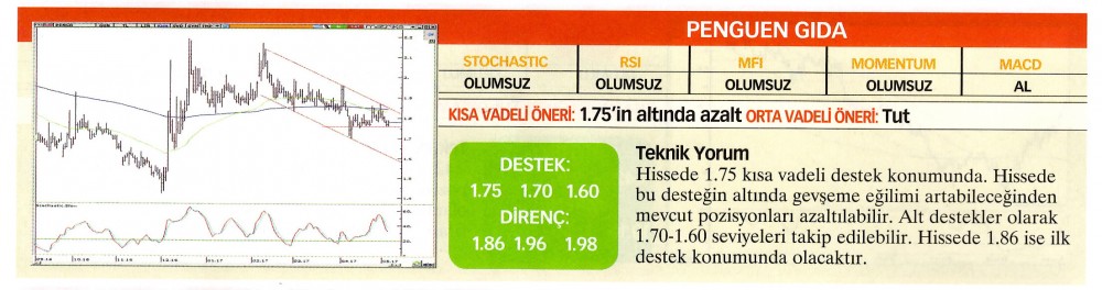 22 hisselik teknik analiz