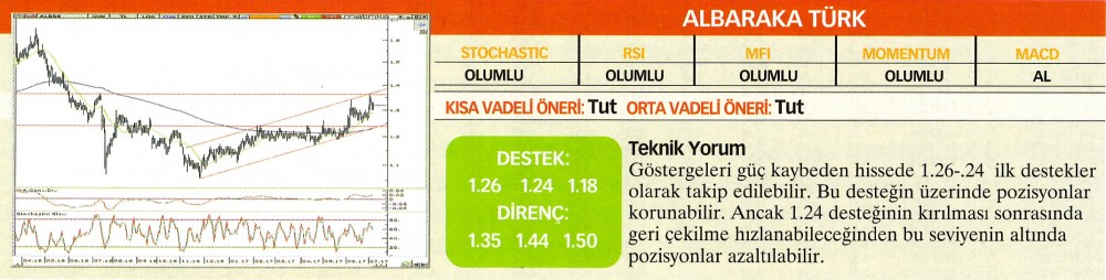 22 hisselik teknik analiz