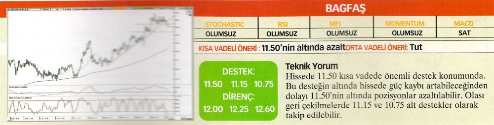 22 hisselik teknik analiz