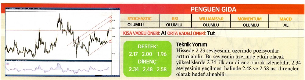 22 hisselik teknik analiz