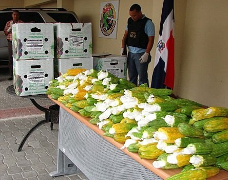 Askerler ormanda buldu! Gözlerine inanamadılar