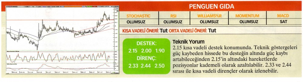 22 hisselik teknik analiz