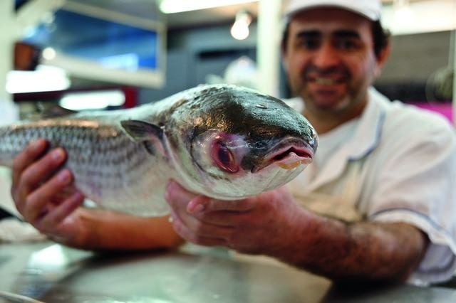 Kişi başı et tüketimi en çok hangi ülkede! Türkiye kaçıncı sırada