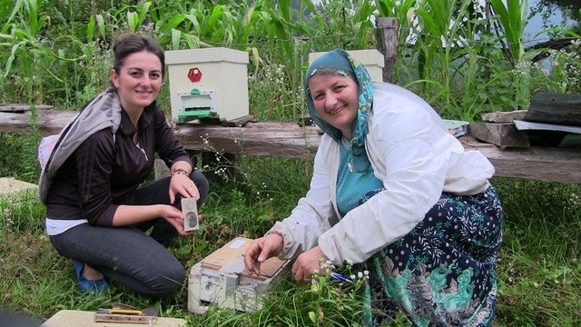 Öyle bir yerde bal üretiyor ki! Çok şaşıracaksınız