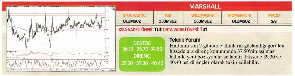 22 hisselik teknik analiz