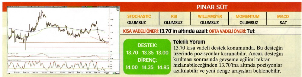 22 hisselik teknik analiz