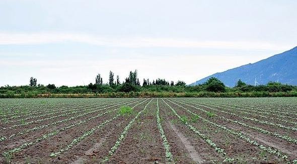 Köprü projeleri 81 bölgede fiyatları uçurdu