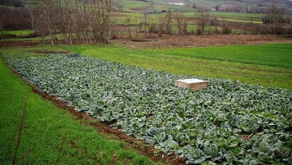 Köprü projeleri 81 bölgede fiyatları uçurdu