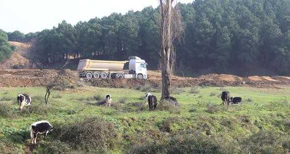 Köprü projeleri 81 bölgede fiyatları uçurdu