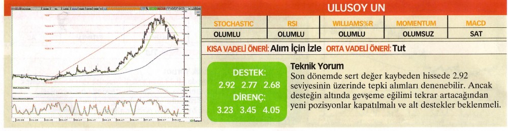 22 hisselik teknik analiz