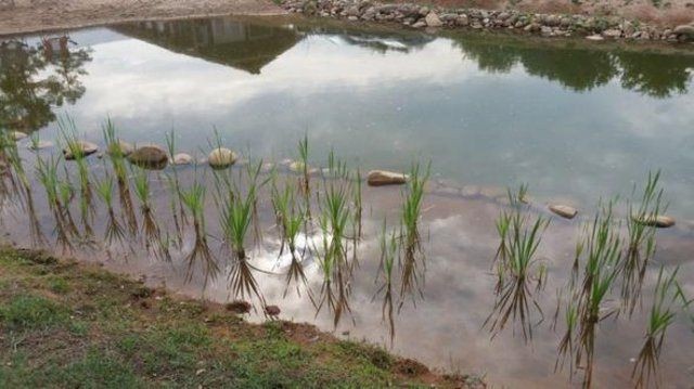 150 bin pet şişe ile yüzen ada yaptı