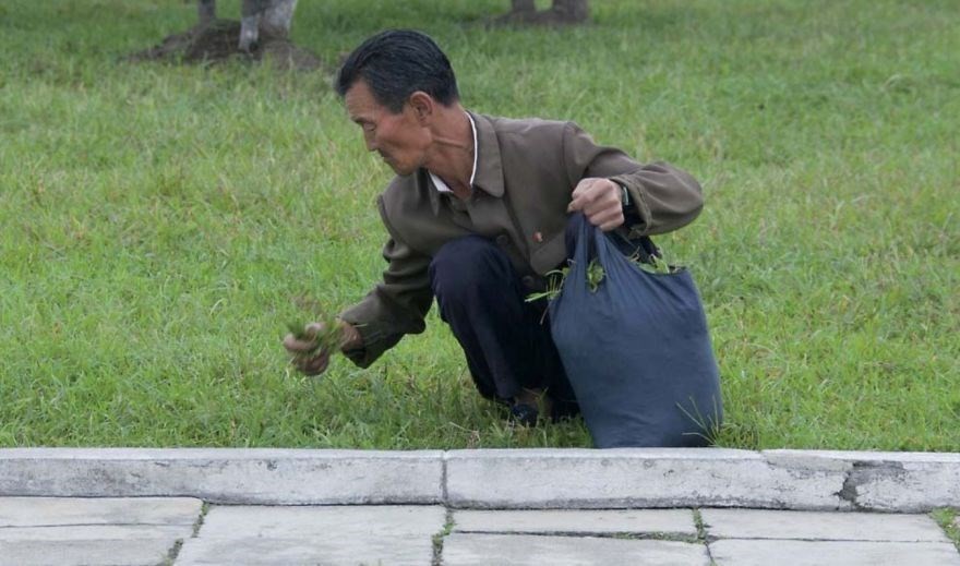 Kuzey Kore'den Kim Jong un'u kızdıracak kareler