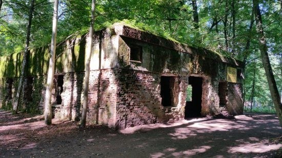 İşte Hitler'e suikast girişiminde bulunulan karargah