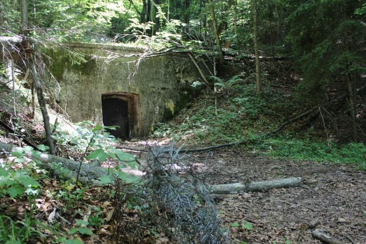 İşte Hitler'e suikast girişiminde bulunulan karargah