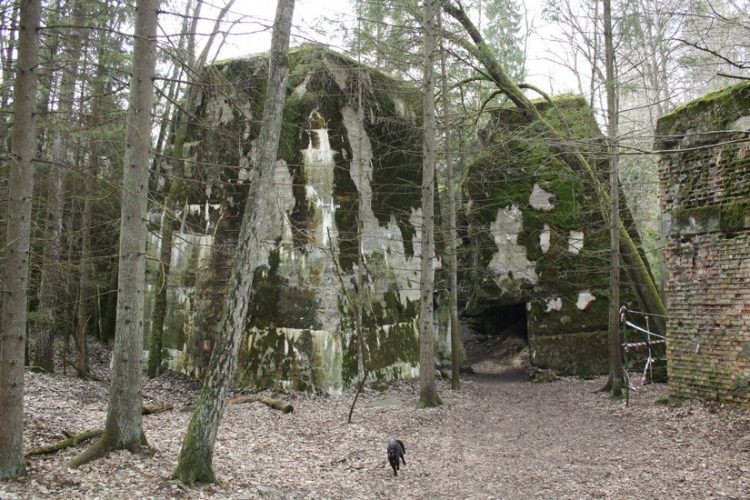 İşte Hitler'e suikast girişiminde bulunulan karargah