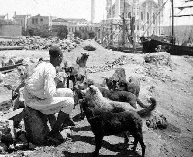 Arşivden çıkan eski istanbul fotoğrafları