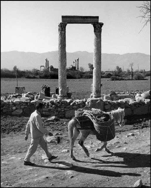 Ara Güler'in keşfettiği kent: Aphrodisias