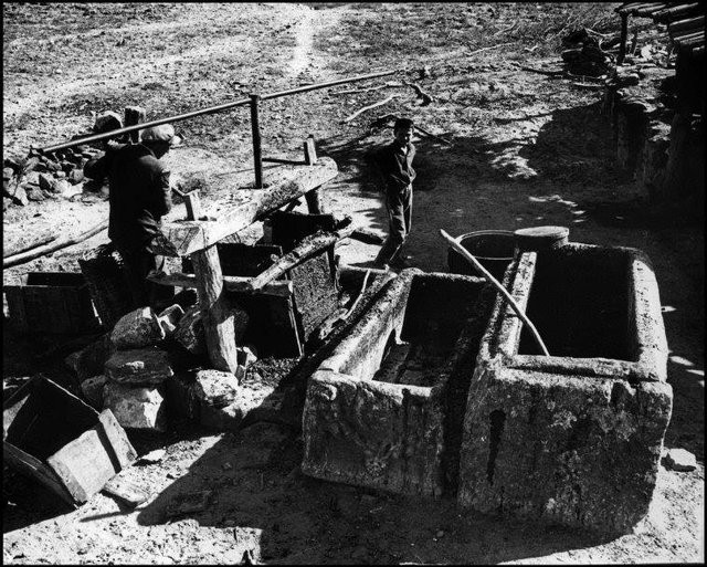 Ara Güler'in keşfettiği kent: Aphrodisias