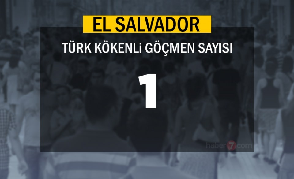 İşte ülke ülke Türkiye kökenli göçmen sayısı