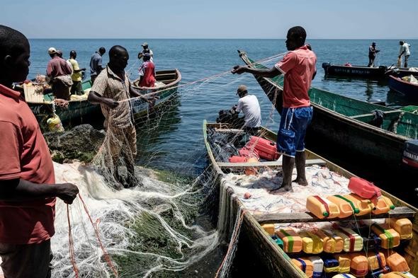 İşte dünyanın en kalabalık adası: Migingo Adası