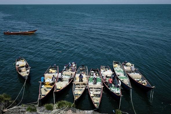 İşte dünyanın en kalabalık adası: Migingo Adası