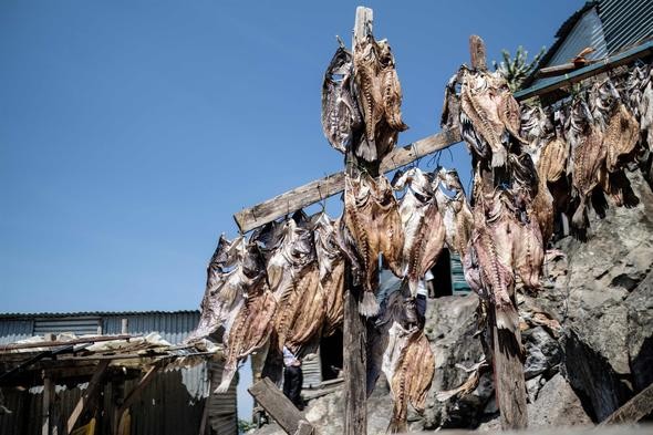 İşte dünyanın en kalabalık adası: Migingo Adası