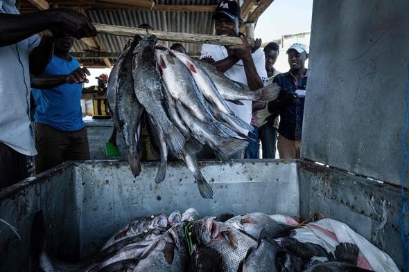 İşte dünyanın en kalabalık adası: Migingo Adası