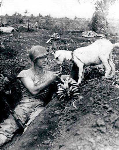 Dünya tarihine damga vurmuş en sıra dışı 40 fotoğraf