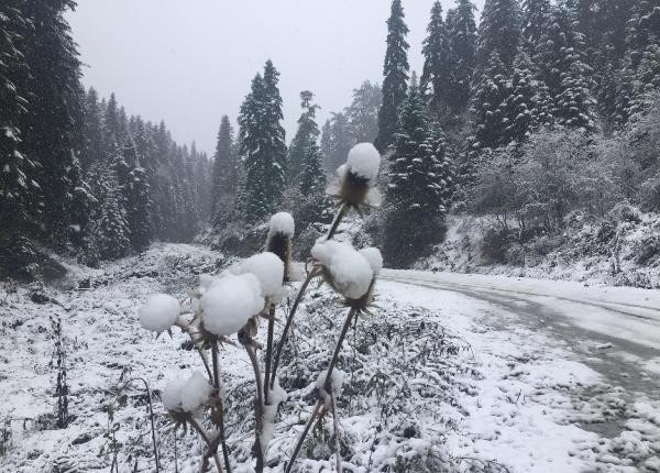 Her yerde kar var! Kış erken bastırdı