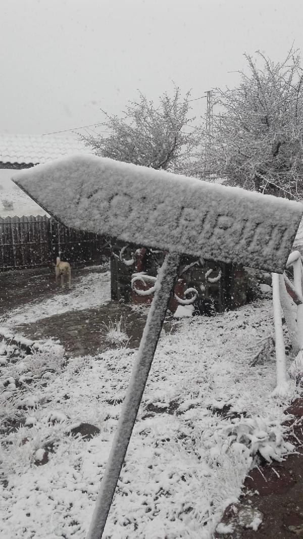 Her yerde kar var! Kış erken bastırdı