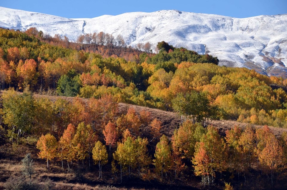 Doğu Anadolu'da buzlanma ve don uyarısı