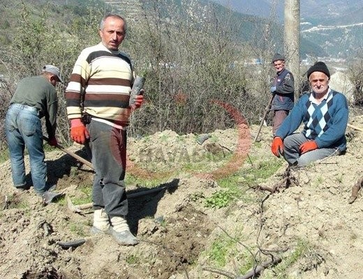 Belge istenecek 117 meslek açıklandı