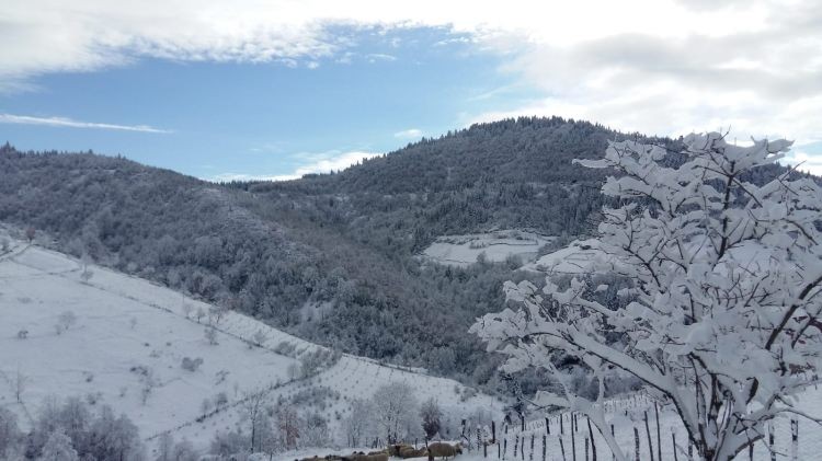 Yurttan kar manzaraları