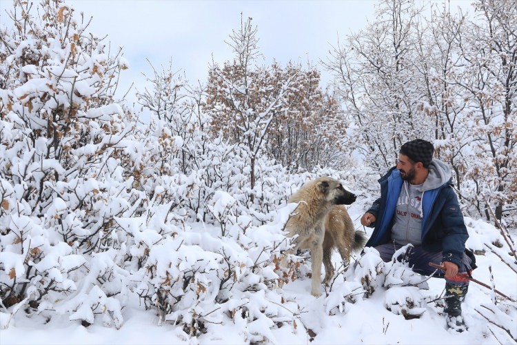 Yurttan kar manzaraları