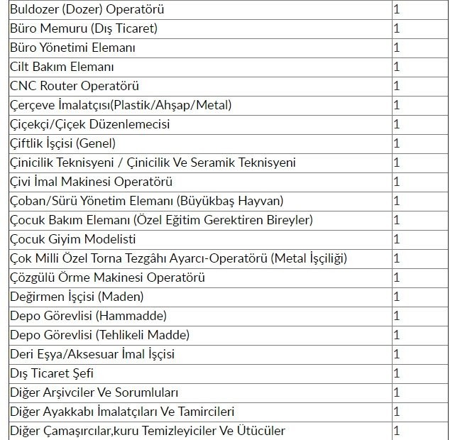 İŞKUR'dan 48 bin 385 kişiye iş müjdesi! 