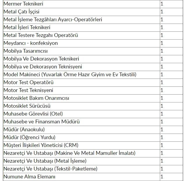 İŞKUR'dan 48 bin 385 kişiye iş müjdesi! 