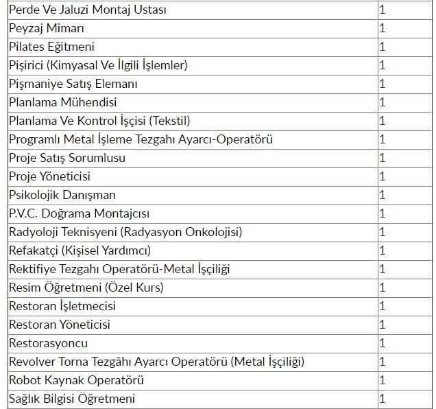 İŞKUR'dan 48 bin 385 kişiye iş müjdesi! 