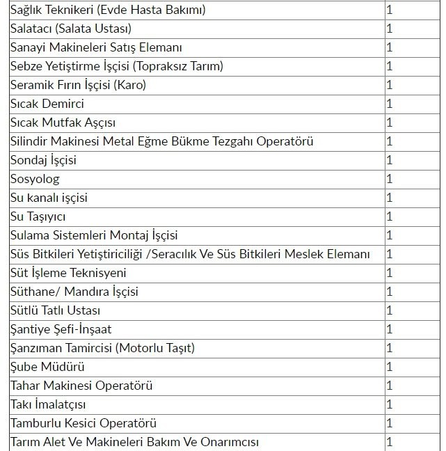 İŞKUR'dan 48 bin 385 kişiye iş müjdesi! 