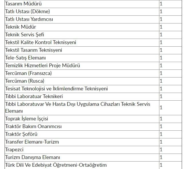 İŞKUR'dan 48 bin 385 kişiye iş müjdesi! 