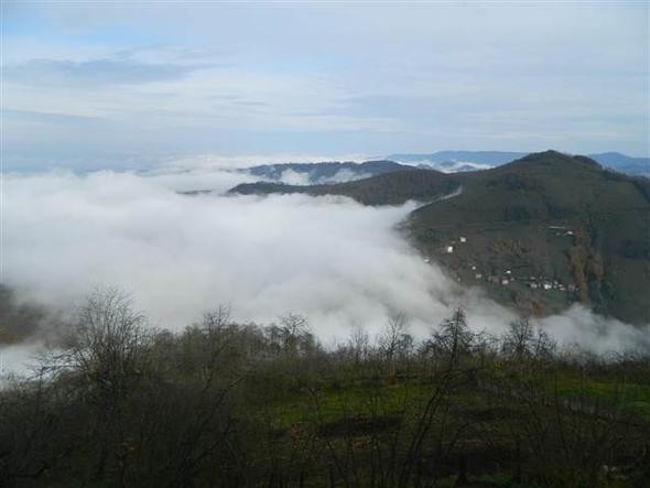 Kızılırmak Deltası Kuş Cenneti'ne girişlere sınırlama