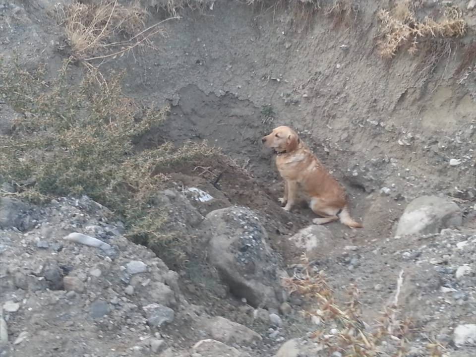 Van'da terör operasyonu