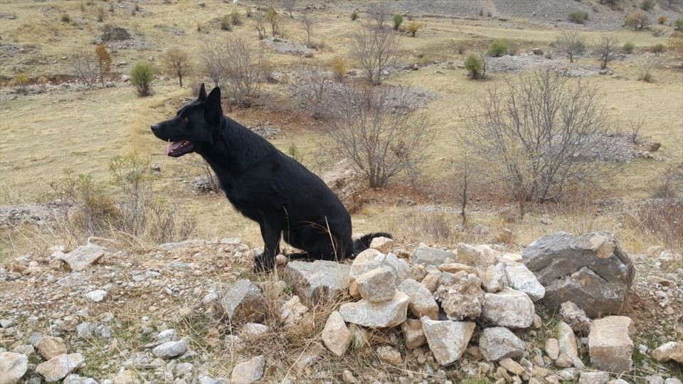 Van'da terör operasyonu