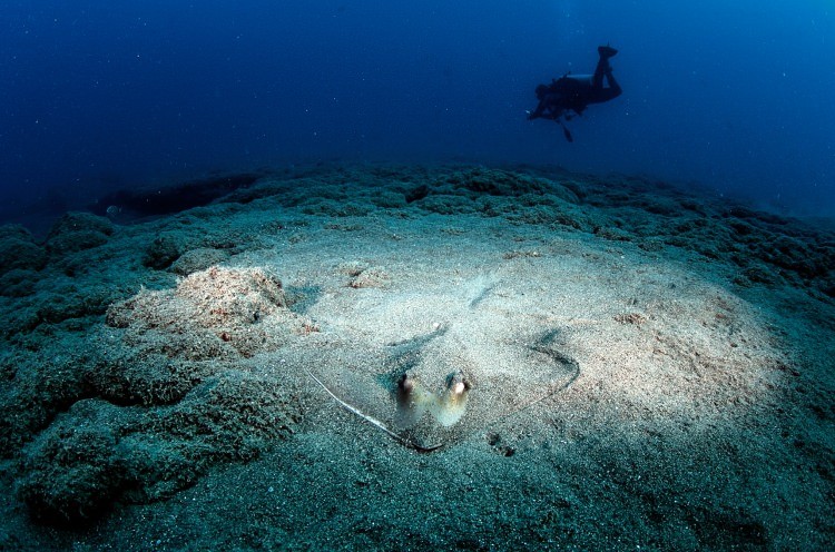 Doğu Akdeniz'in Kızıldeniz'i