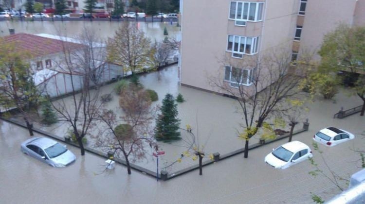 Edirne yağmura teslim oldu! Camlardan atladılar